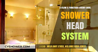 Luxury Dual Shower Head: A-Flow 5 Function System Review