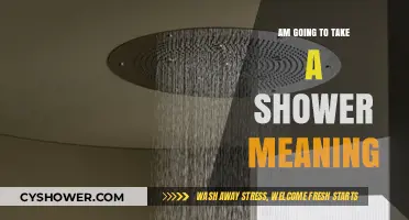 Understanding the Everyday Phrase: 'I'm Going to Take a Shower' Meaning