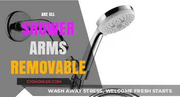 Can You Remove Your Shower Arm? A Quick Guide