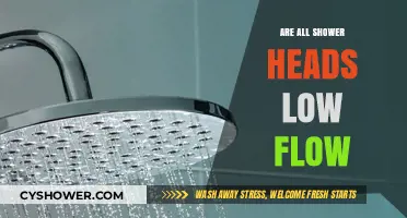 Are All Shower Heads Low Flow? Uncovering the Truth
