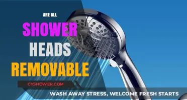 Can You Remove All Shower Heads? A Quick Guide