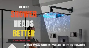 Bigger Shower Heads: Enhanced Experience or Wasteful Upgrade?