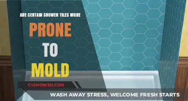 Which Shower Tiles Resist Mold Best? A Comprehensive Guide