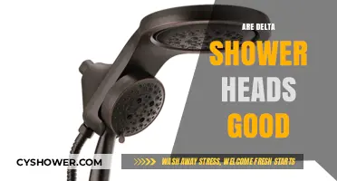 Are Delta Shower Heads Worth It? Pros, Cons, and Reviews