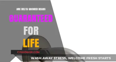 Delta Shower Heads: Lifetime Warranty or Limited Guarantee?