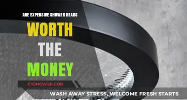 Are High-End Shower Heads a Worthwhile Investment for Your Bathroom?