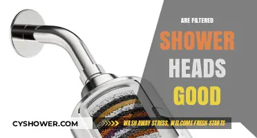 Filtered Shower Heads: Benefits, Effectiveness, and Worth the Investment?