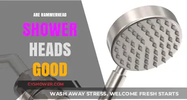 Are Hammerhead Shower Heads Worth It? Pros, Cons, and Reviews