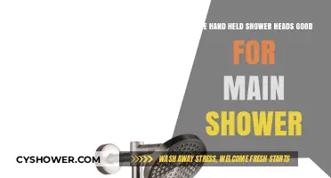 Handheld Shower Heads: Are They Ideal for Your Main Shower?