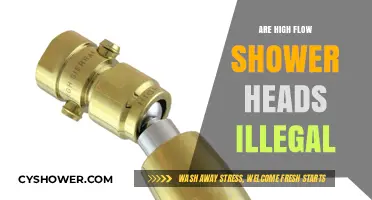 Are High Flow Shower Heads Illegal? Uncovering the Truth and Regulations