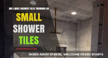 Large vs. Small Shower Tiles: Which Trend Reigns Supreme?