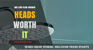 Low Flow Shower Heads: Eco-Friendly Savings or Compromised Experience?
