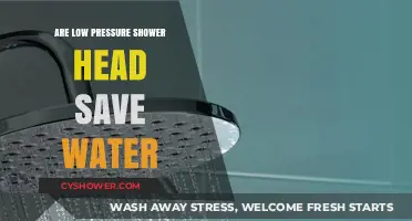 Low Pressure Shower Heads: Do They Really Conserve Water?