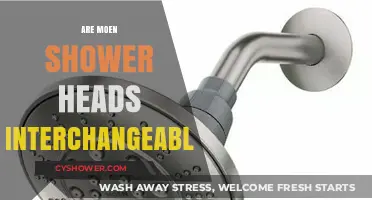 Can You Swap Moen Shower Heads? Interchangeability Explained