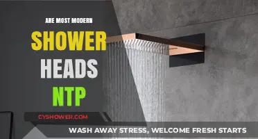 Are Modern Shower Heads NTP? Unveiling the Truth Behind the Trend