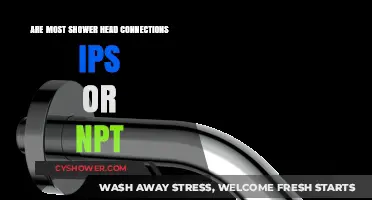 IPS or NPT: Understanding Standard Shower Head Thread Connections
