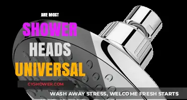 Are Most Shower Heads Universal? Compatibility Guide for Easy Installation