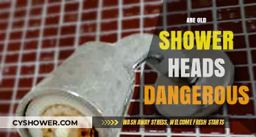 Are Old Shower Heads Dangerous? Uncovering Hidden Health Risks