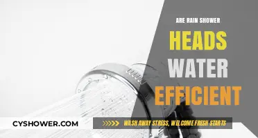 Are Rain Shower Heads Water Efficient? Exploring Eco-Friendly Shower Options
