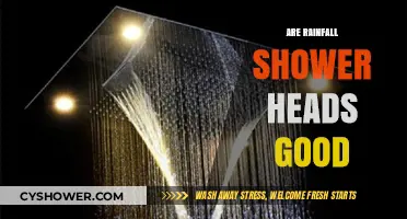 Are Rainfall Shower Heads Worth It? Pros, Cons, and Expert Insights