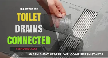 Are Shower and Toilet Drains Connected? Plumbing Facts Revealed