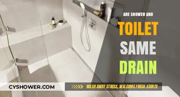 Shower and Toilet Drain Connection: Are They the Same?