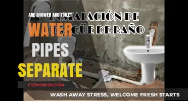Are Shower and Toilet Water Pipes Separate? Plumbing Facts Revealed
