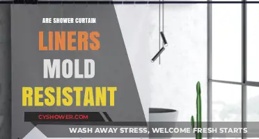 Do Shower Curtain Liners Resist Mold? A Comprehensive Guide