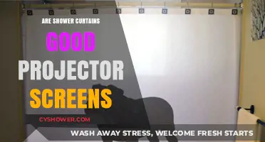Shower Curtains as Projector Screens: Creative Hack or Bad Idea?
