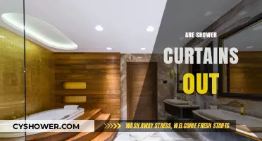 Are Shower Curtains Outdated? Modern Bathroom Design Trends Explained