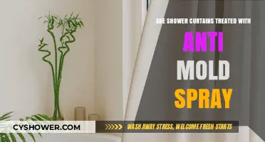 Do Shower Curtains Need Anti-Mold Spray? A Complete Guide
