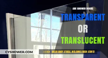 Transparent vs. Translucent Shower Doors: Understanding the Difference for Your Bathroom