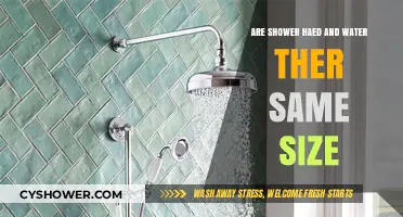 Shower Heads vs. Water Filters: Are Their Sizes Universally Compatible?