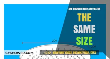 Shower Head vs. Water Size: Understanding Compatibility and Fit