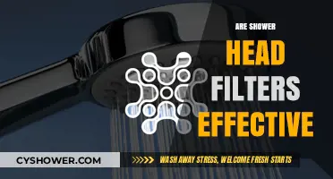 Do Shower Head Filters Really Work? Uncovering Their Effectiveness