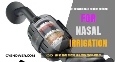 Shower Head Filters vs. Nasal Irrigation: Are They Sufficient?