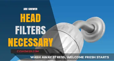 Are Shower Head Filters Necessary? Exploring Benefits and Water Quality