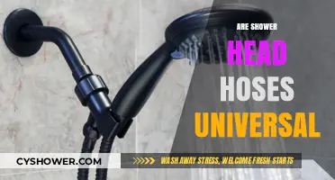 Are Shower Head Hoses Universal? Compatibility Guide for Easy Replacement