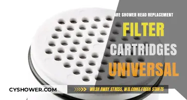 Are Shower Head Filter Cartridges Universal? A Comprehensive Guide