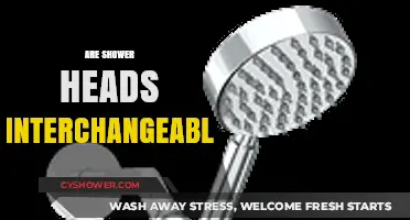 Can You Swap Shower Heads? A Guide to Interchangeability