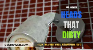 Shower Heads: Uncovering the Hidden Dirt and Hygiene Concerns