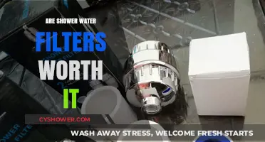Are Shower Water Filters Worth It? Benefits, Costs, and Health Impacts