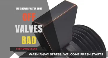 Are Shower Water Shut Off Valves Bad? Pros, Cons, and Alternatives