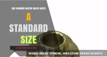 Standard Shower Valve Seat Sizes: Fact or Fiction?