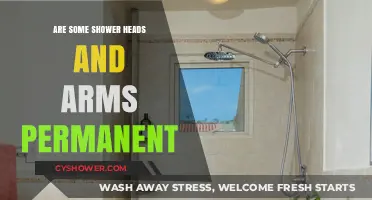 Are Shower Heads and Arms Permanent? Exploring Installation Options