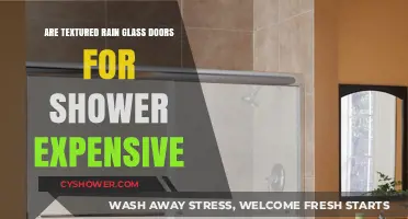 Are Textured Rain Glass Shower Doors a Costly Bathroom Upgrade?