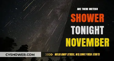 November Night Sky: Meteor Shower Visibility Tonight – What to Expect