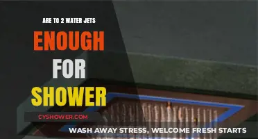 Is a Dual Water Jet Shower System Sufficient for Your Needs?