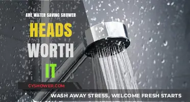 Eco-Friendly Showers: Are Water-Saving Shower Heads a Smart Investment?