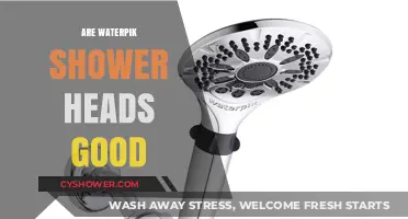 Are Waterpik Shower Heads Worth It? Pros, Cons, and Reviews
